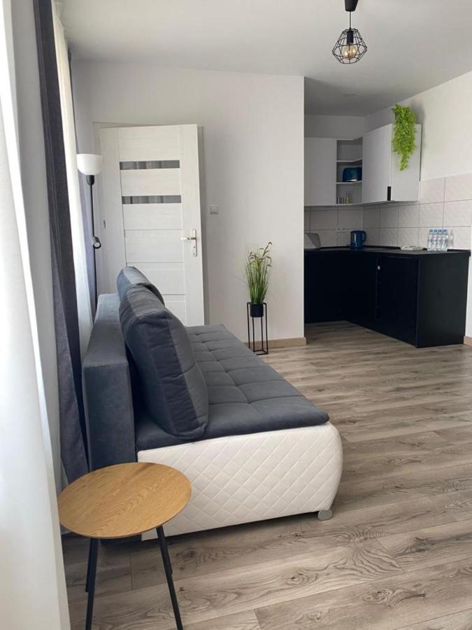 Apartamenty Zatorze Leszno  Εξωτερικό φωτογραφία